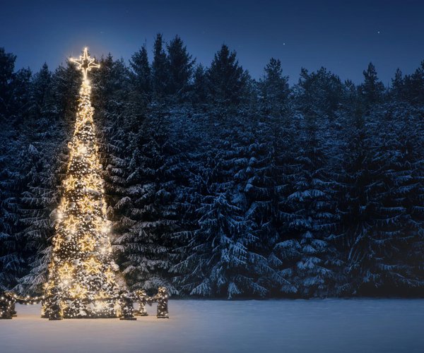 Closed for the holidays