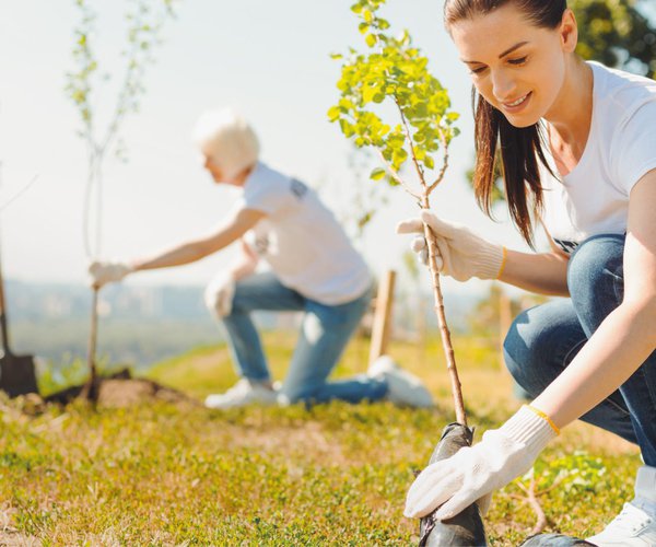 Receive up to $750,000 through the Canada Community Revitalization Fund