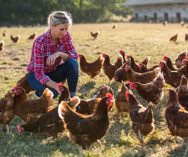 Youth Employment And Skills Program (YESP)